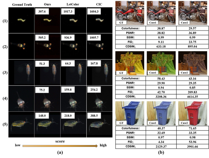 (a) Comparison of visual perception and CDSIM evaluations of marine plankton images produced by various colorization models. (b) Comparison of visual perception and numerical metrics-based evaluations of artificially colorized natural scene images.