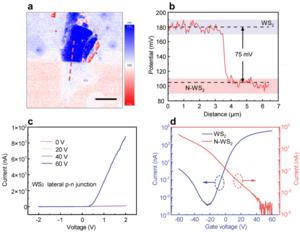 Figure 2 | The measurement results of KPFM and electrical performance on WS₂ lateral p-n homojunction