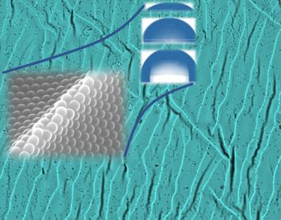 Buckling Nature of the Pre-Strained PDMS