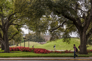 Louisiana State University Campus Mounds