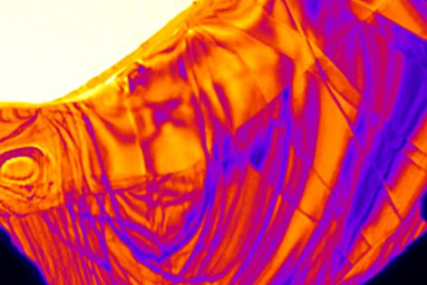 A False-Colored Ultrafast Electron Microscope (UEM) Snapshot of a Thin Semiconducting Crystal