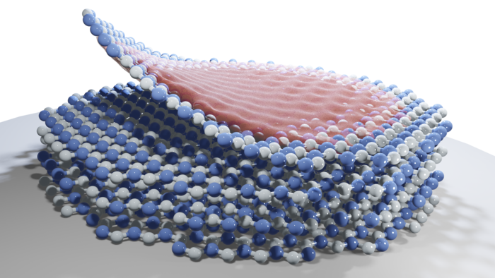 Hole Polaron [IMAGE] | EurekAlert! Science News Releases
