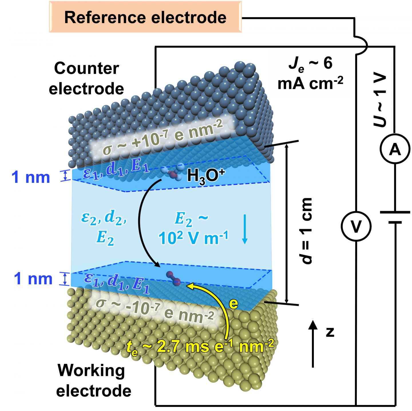 Inner workings of a fuel cell