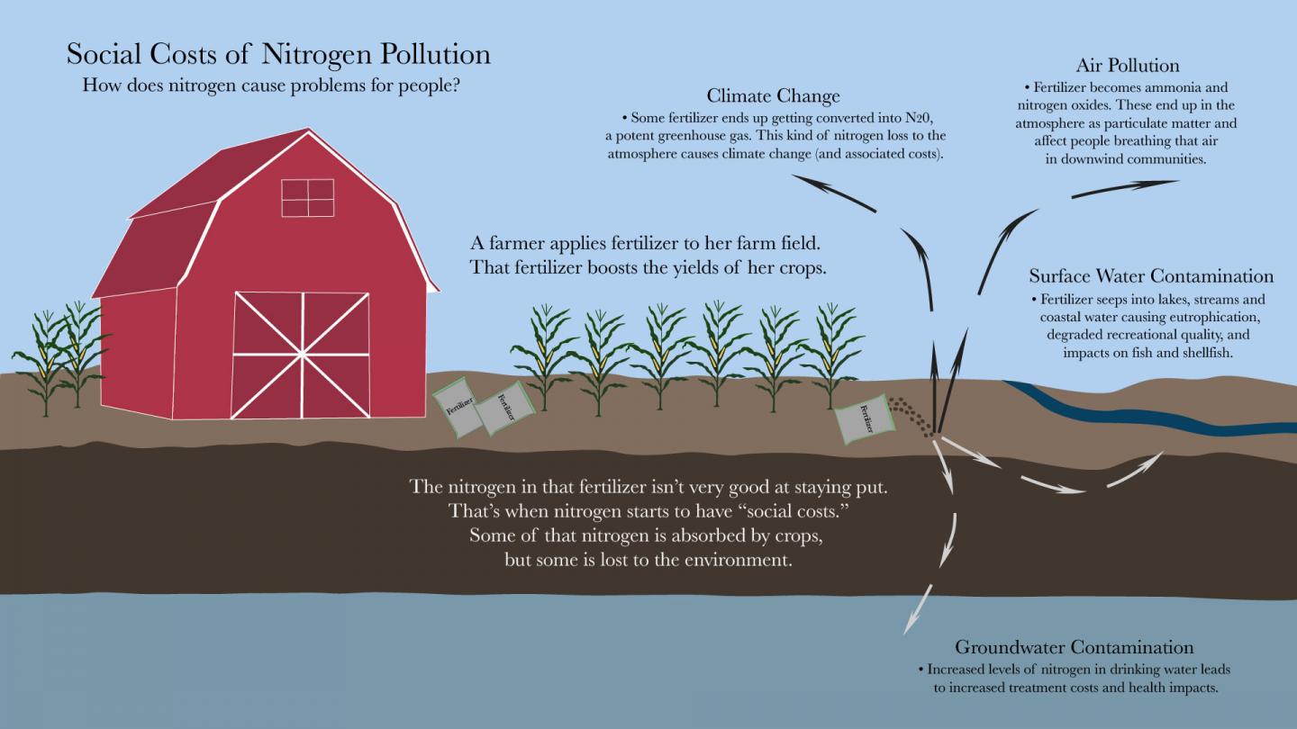 Social Costs of Nitrogen Pollu [IMAGE] EurekAlert! Science News Releases