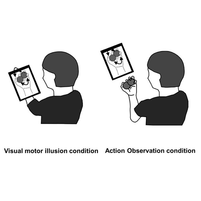 Visual motor illusion and action observation.