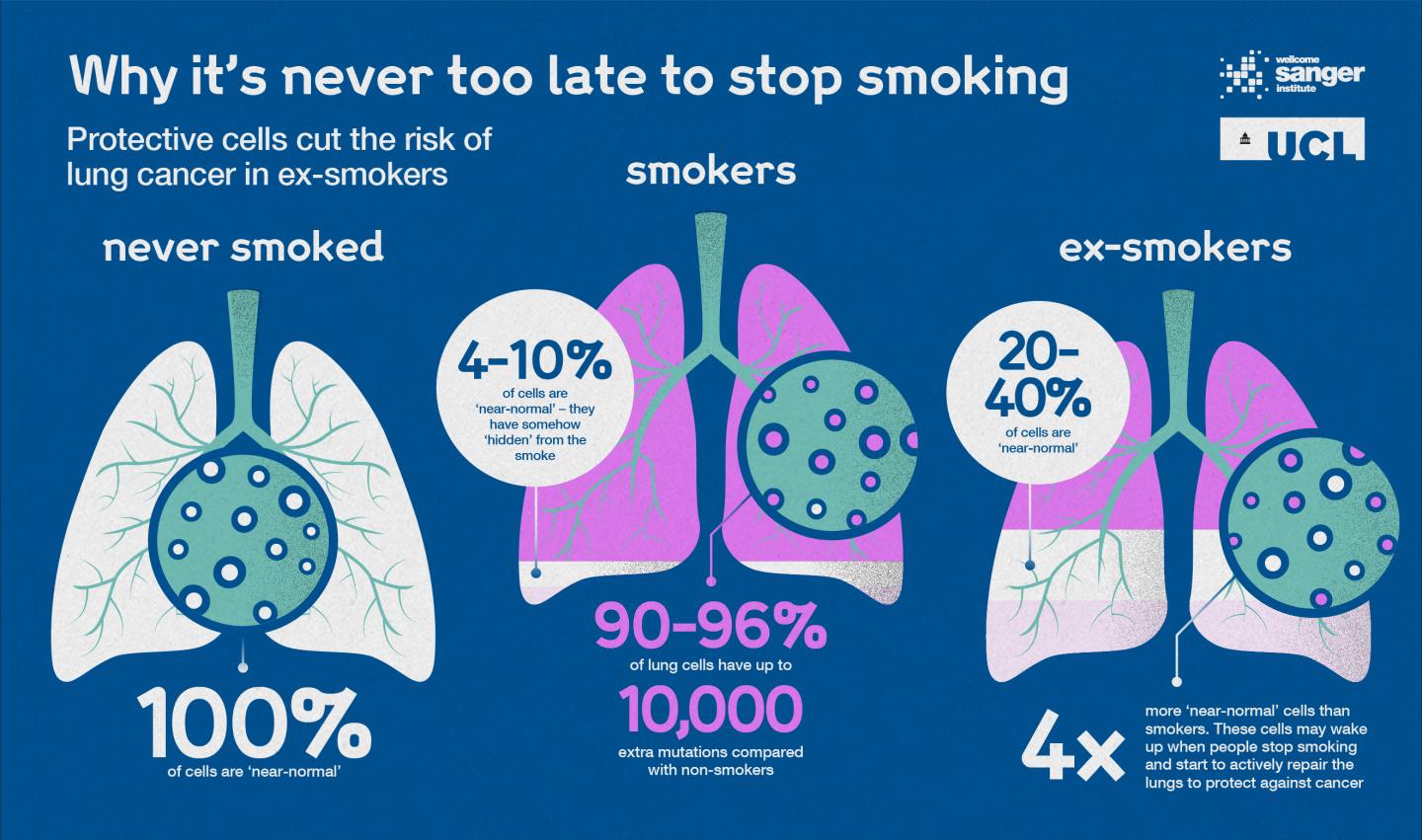 research on lung cancer and smoking