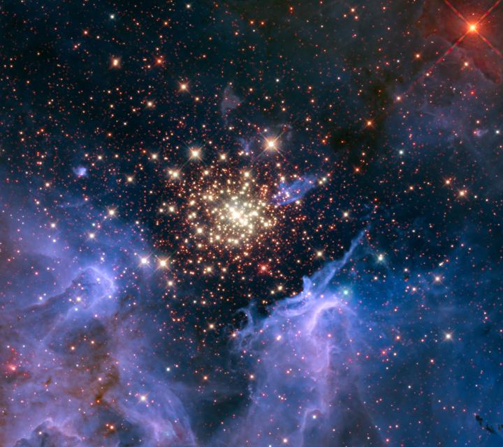 A Cluster of Massive Stars