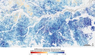 Amazon Forests Where Sensors and Models Can Overestimate the Green-Up