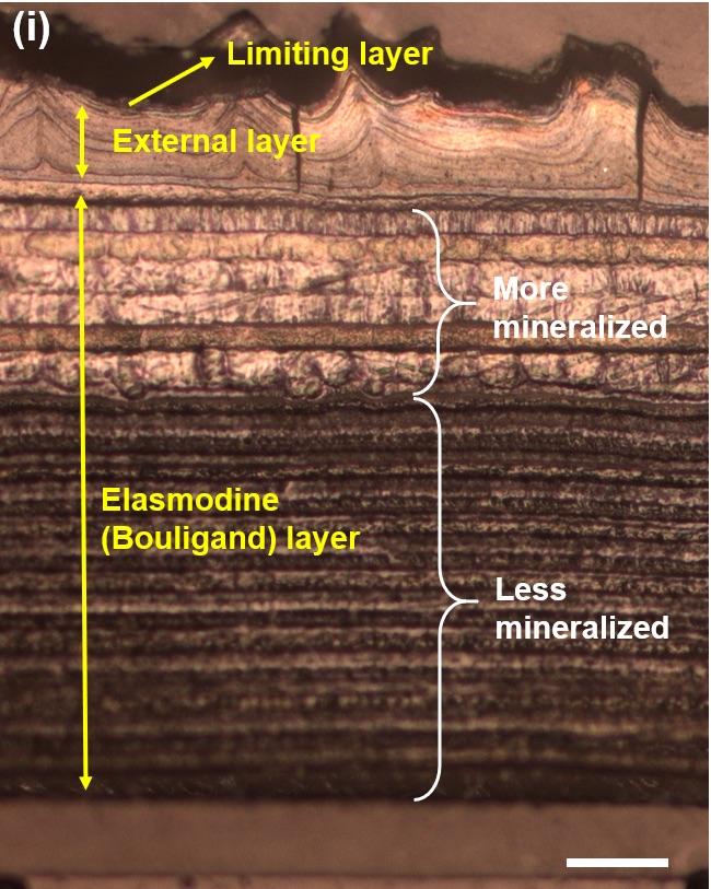 Matter Figure 1