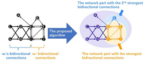 Schematic of extraction of the network parts with strong bidirectional connections using the proposed algorithm
