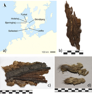 Map of studied sites and examples of included fur.