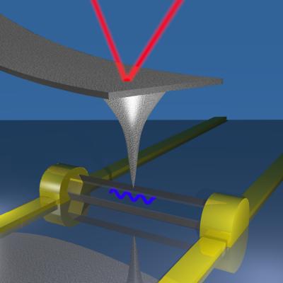 Single Nanowire Piezoelectricity