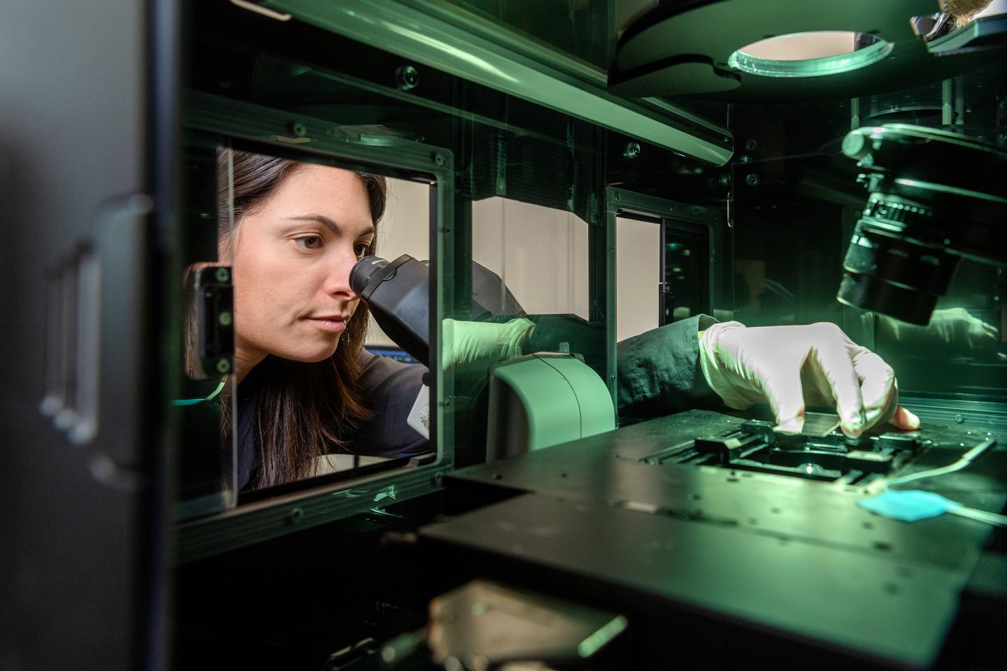 Elena Biselli at the Microscope