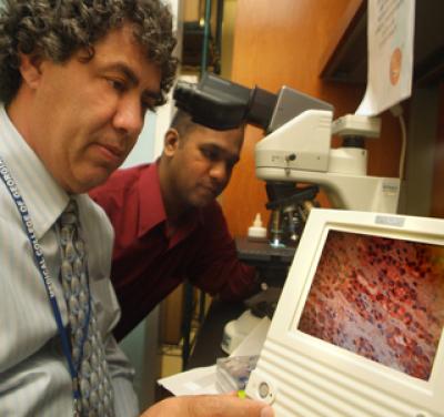 Drs. Yehia Daaka and Vijayabaskar Lakshmikanthan, Medical College of Georgia