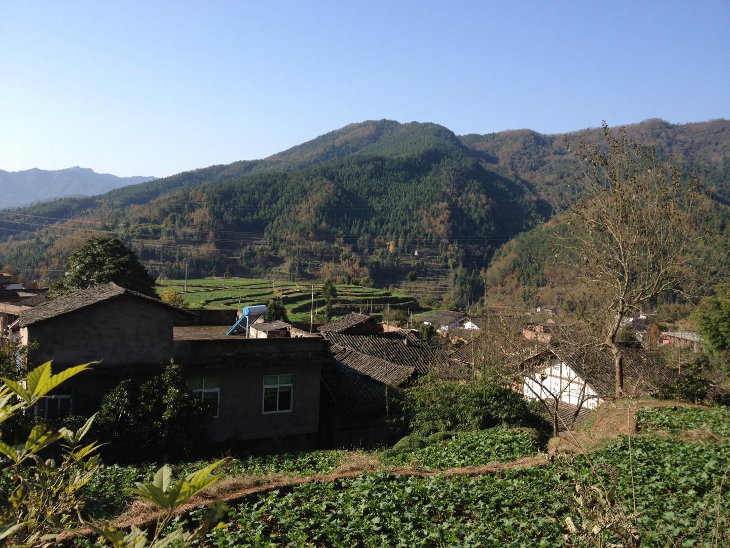 Photo 2 Mountain Slope in the Sinchuan Province