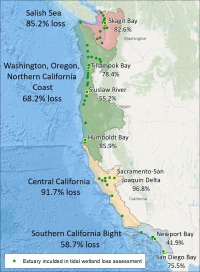 West Coast Estuary Losses