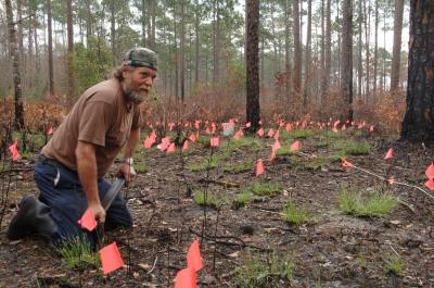 Florida's 'Worm Grunters' Collect Bait Worms By Inadvertently Imitating Mole Sounds