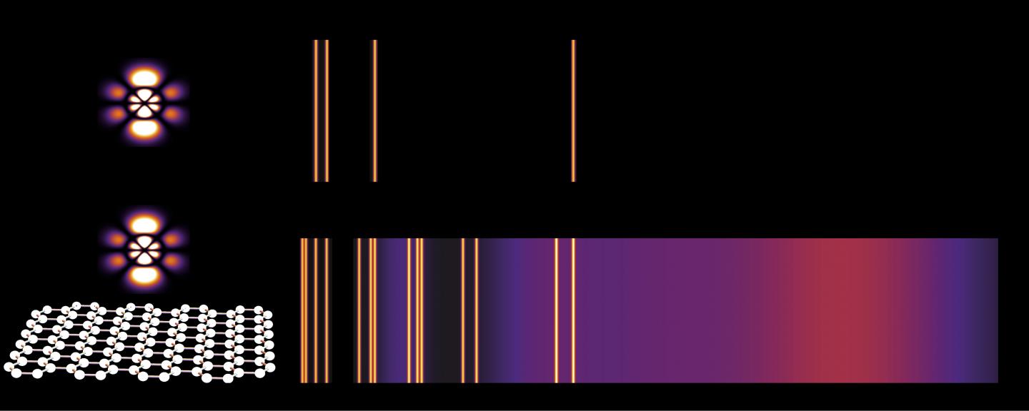 Bringing Forbidden Optical Transitions to Light