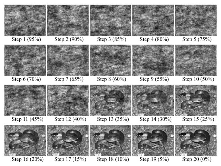 Examples of a Random Image Structure Evolution (RISE) Sequence for Snake Pictures