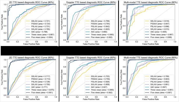 Fig. 1. ROC curves of classification of healthy control (HC) and CHDs.