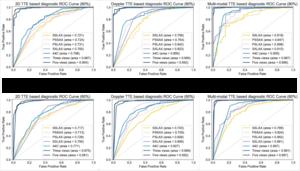 Fig. 1. ROC curves of classification of healthy control (HC) and CHDs.