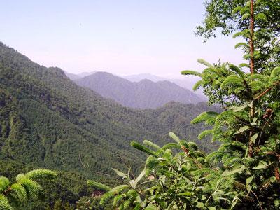 Qinling Mountain Region