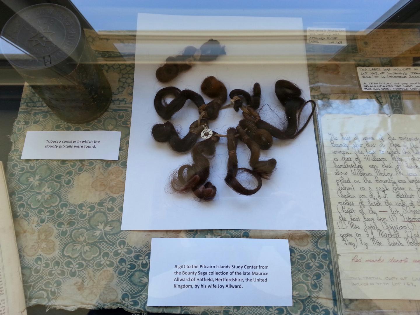 Pigtails on Display at the Pitcairn Islands Study Centre