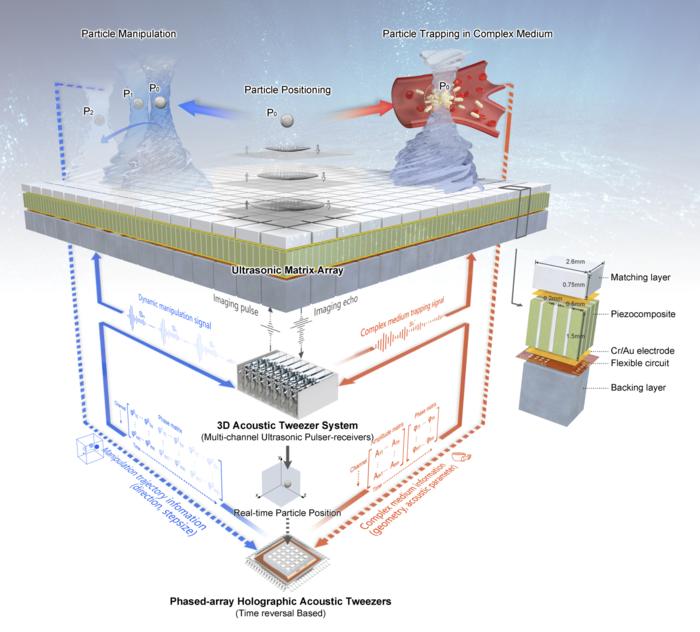 Schematic diagram of phased-array holographic acoustic tweezers (PAHAT) system