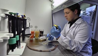 Ph.D. Student Lukasz Richter Works on Bacteriophage-Based Biosensors
