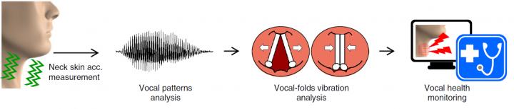 Voice Dosimetry by Detecting Neck Skin Vibration