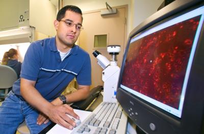 David Schaffer,   	 DOE/Lawrence Berkeley National Laboratory 