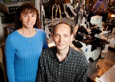 Grosman and Cymes, University of Illinois at Urbana-Champaign 