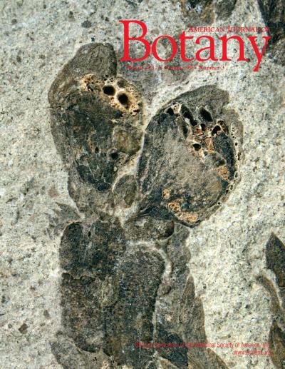 March 2012 Issue of the American Journal of Botany