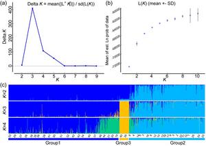 Bayesian inference clustering STRUCTURE analysis of 1082 individuals from 46 populations of Juglans regia.