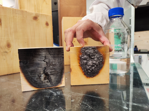 Uncoated timber burns and cracks when exposed to fire while coated timber is protected by expanding layer of char