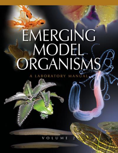 Emerging Model Organisms, Volume 2