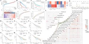 Development, Evaluation, and Immune Feature Analysis of Prognostic Models for FDX1 and SLC31A1 in Glioma