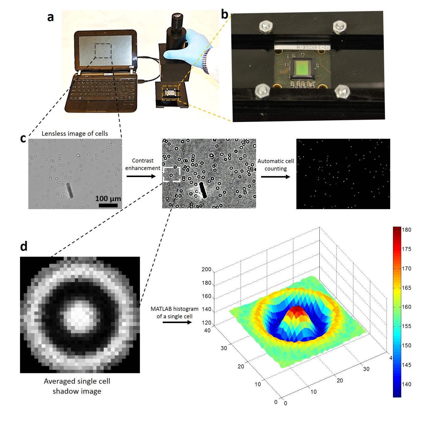 New Method to Preserve Microfluidic Devices for HIV Monitoring in Developing Countries