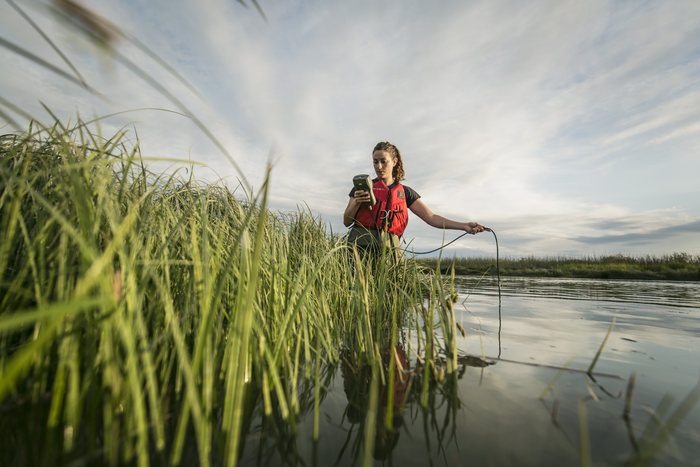 Dr Lia Chalifour checks water quality in the Fraser River estuary