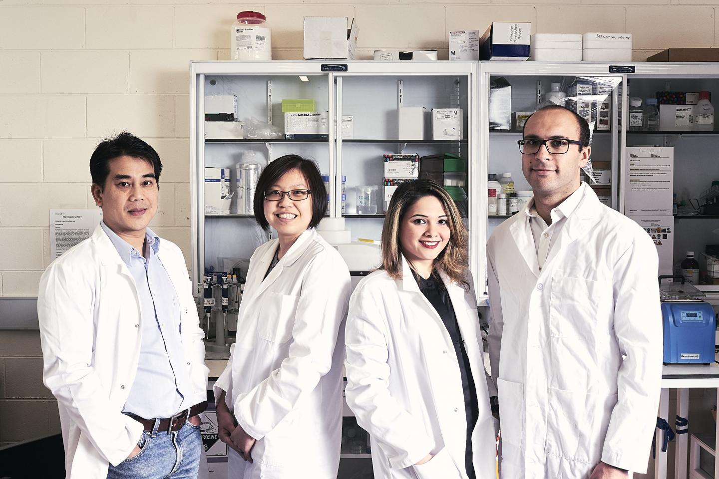 MOF Research Team