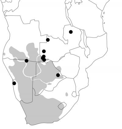Map, Khoisan Lineages