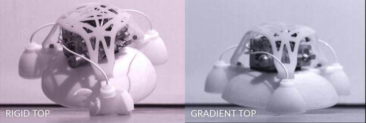 Comparison between Hard and Flexible Top