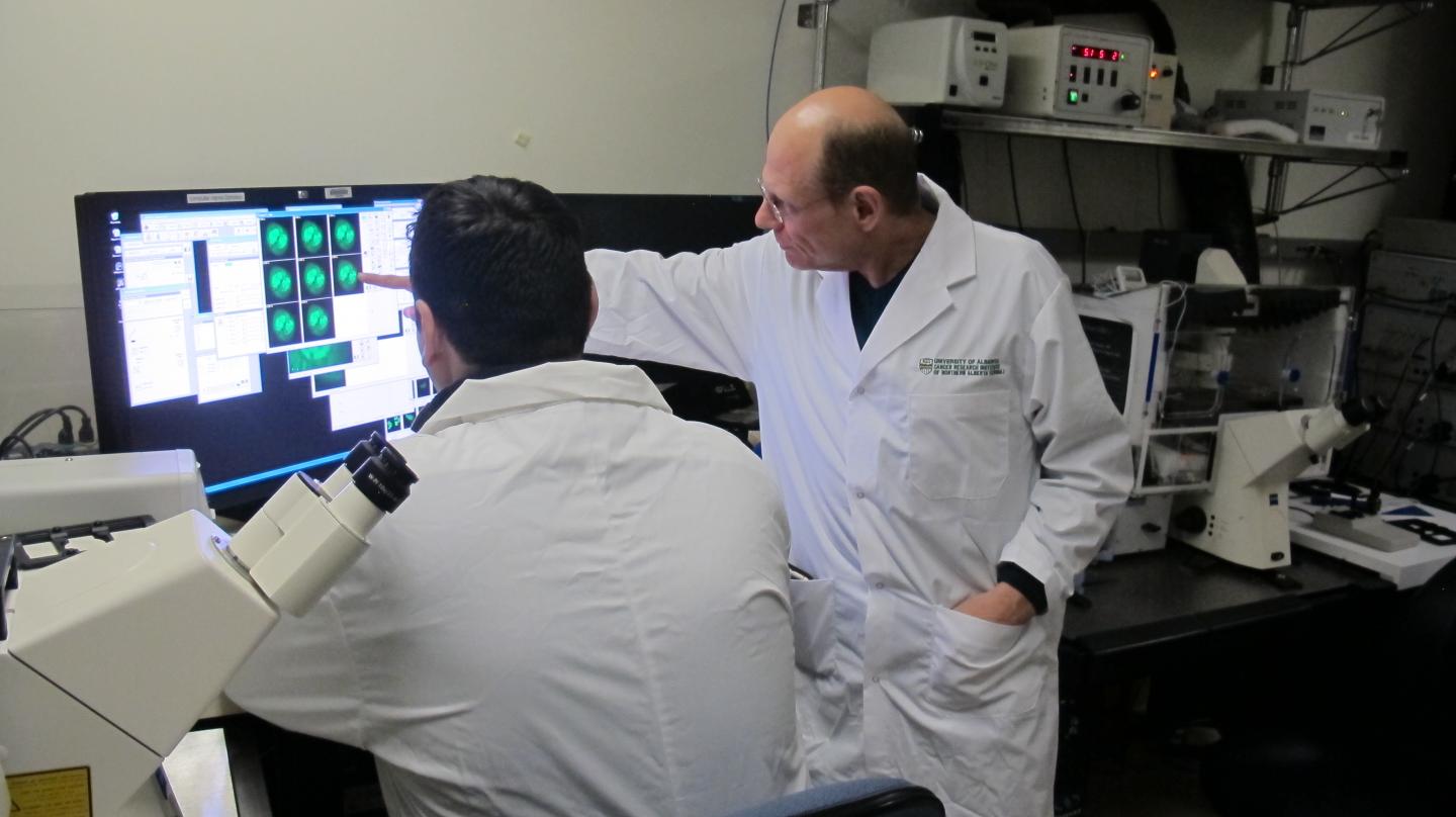 Protein Discovered to Play a Vital Role in DNA Repair Process