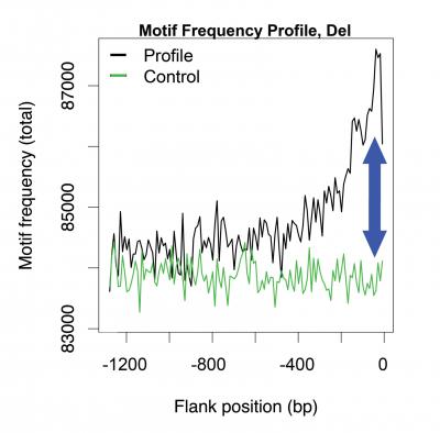Secrets Revealed About How Disease-Causing DNA Mutations Occur