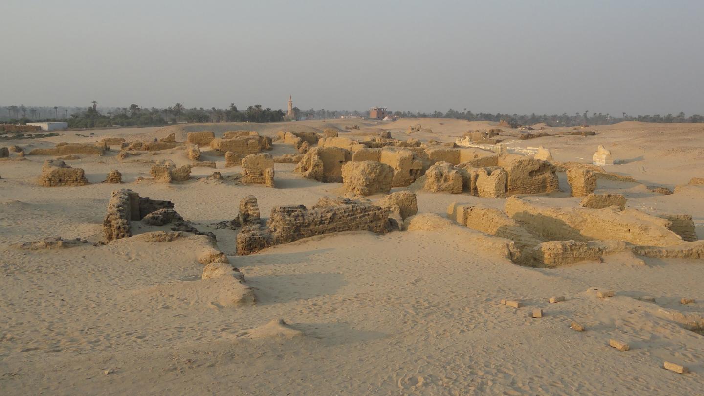 The ruins of the town Tebtunis