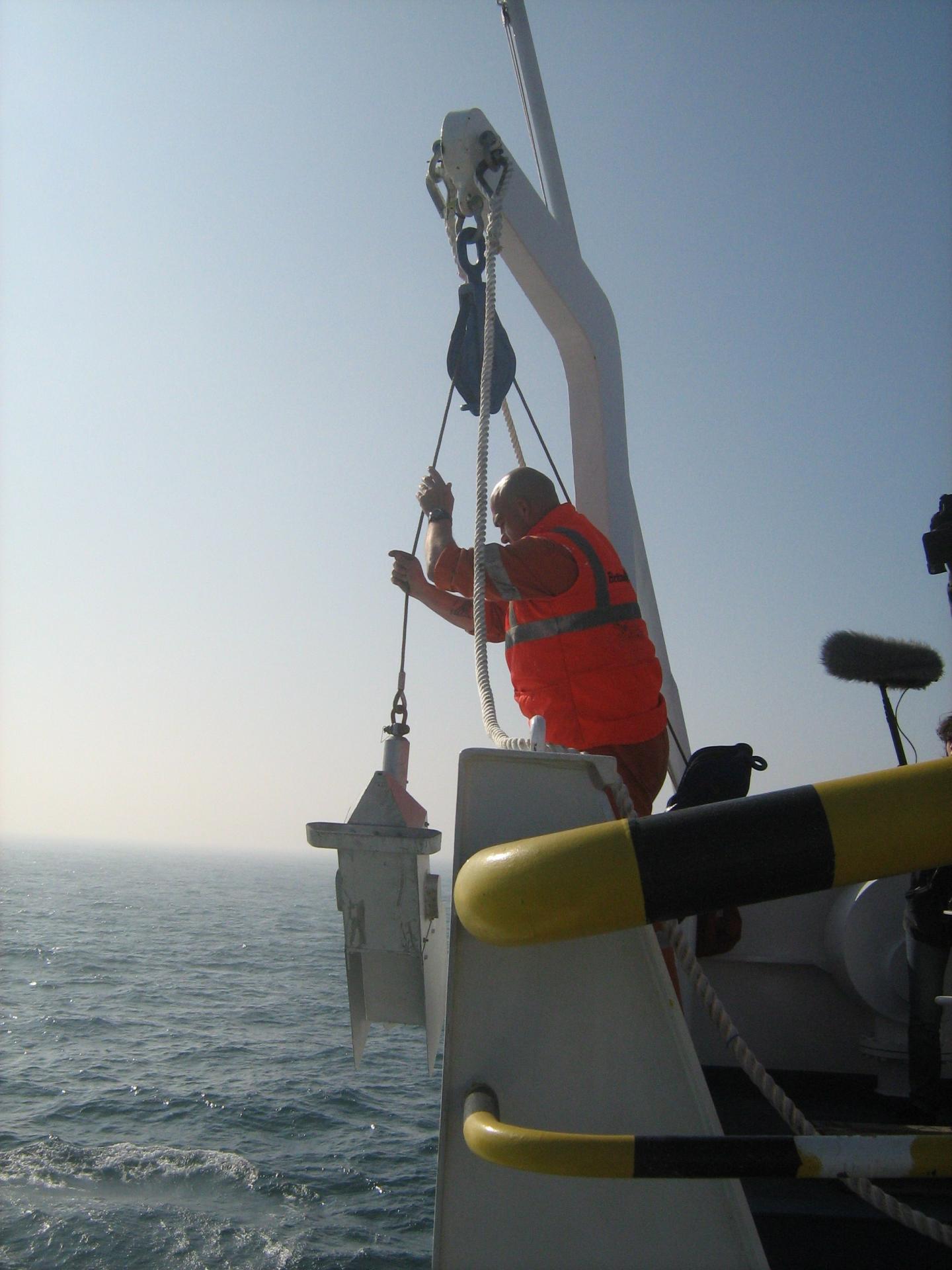 Increases in Certain Algae Could Impact Carbon Cycle (2 of 3)