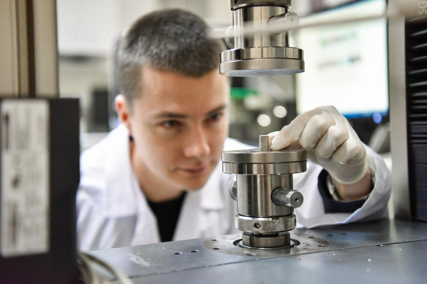 Implant, Prepared for Compression Tests