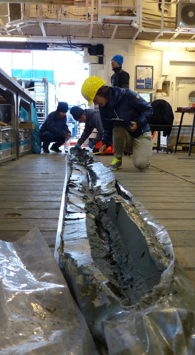 Part of a Core Taken from the Seafloor in the Barents Sea