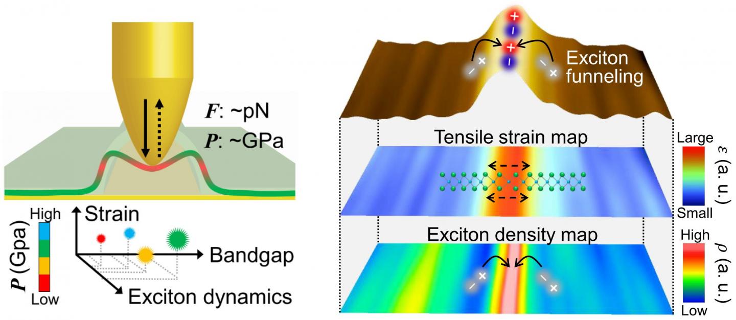 Schematic diagram of a-TEPL spectroscopy