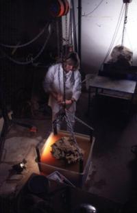Dr. Anna Gillespie, UNSW palaeontologist